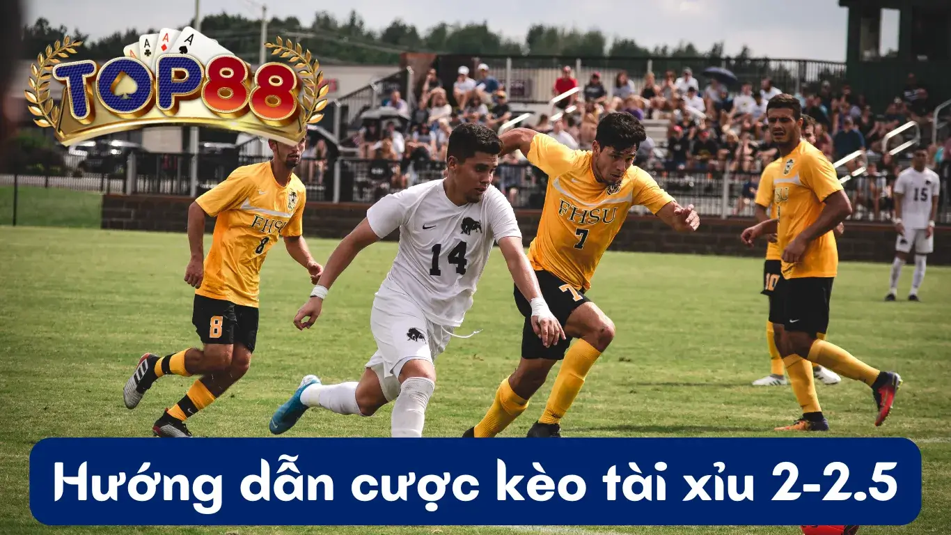 Hướng dẫn cược tài xỉu 2-2.5 trong bóng đá Hướng dẫn cược tài xỉu 2-2.5 trong bóng đá