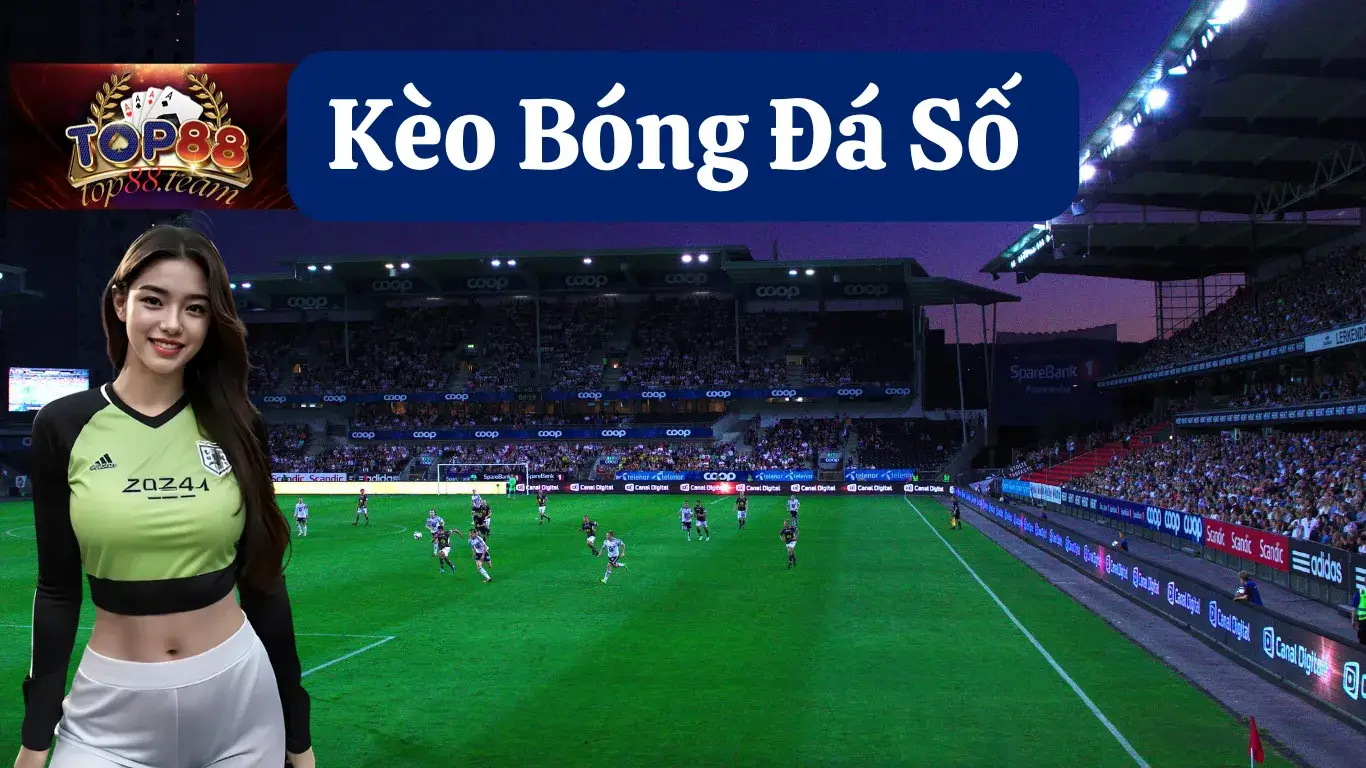 Cách Đọc Kèo Châu Âu, Châu Á, Tài Xỉu Chuẩn Xác